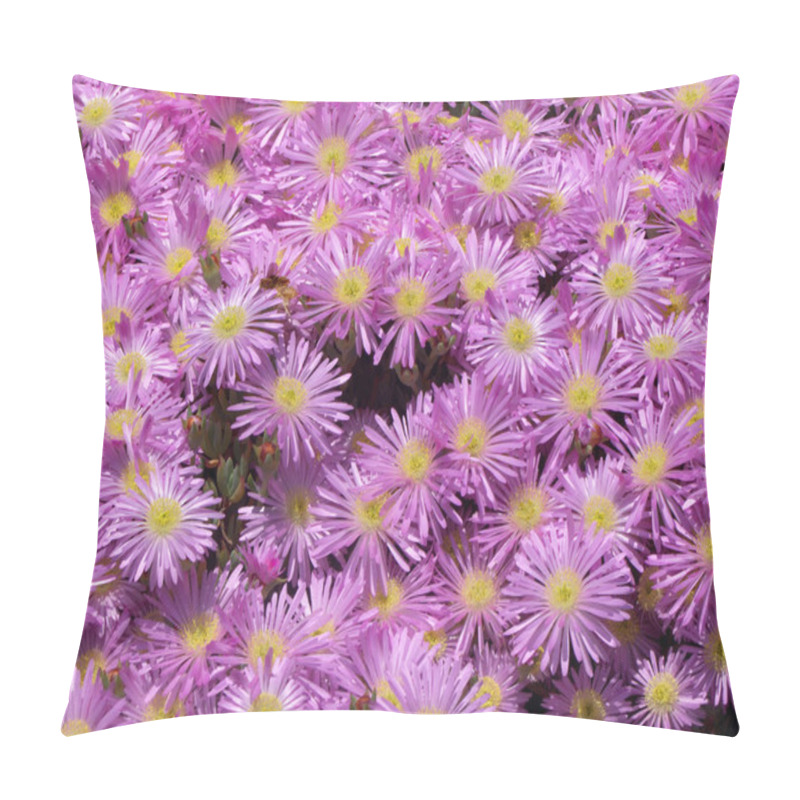 Personality  Pink Ice Plant Flowers. Pillow Covers