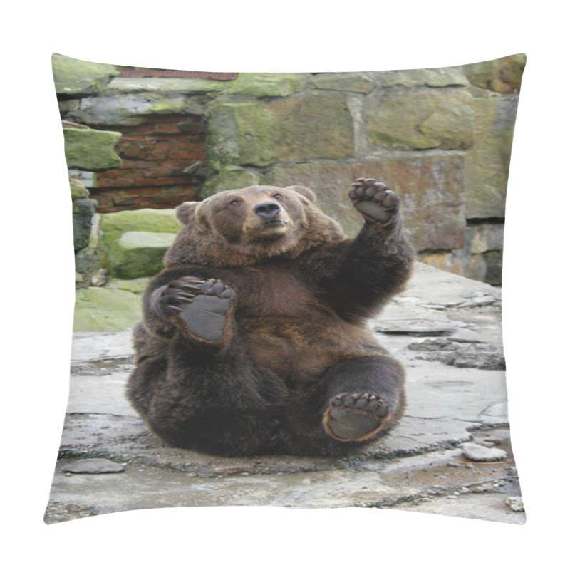 Personality  Funny Bear Pillow Covers