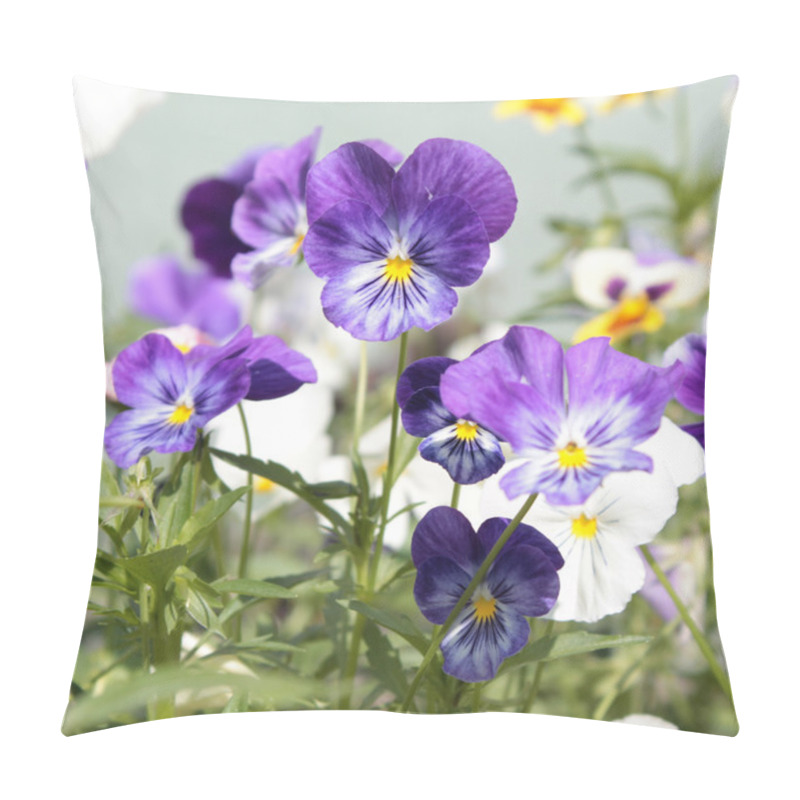 Personality  Purple Pansies Pillow Covers