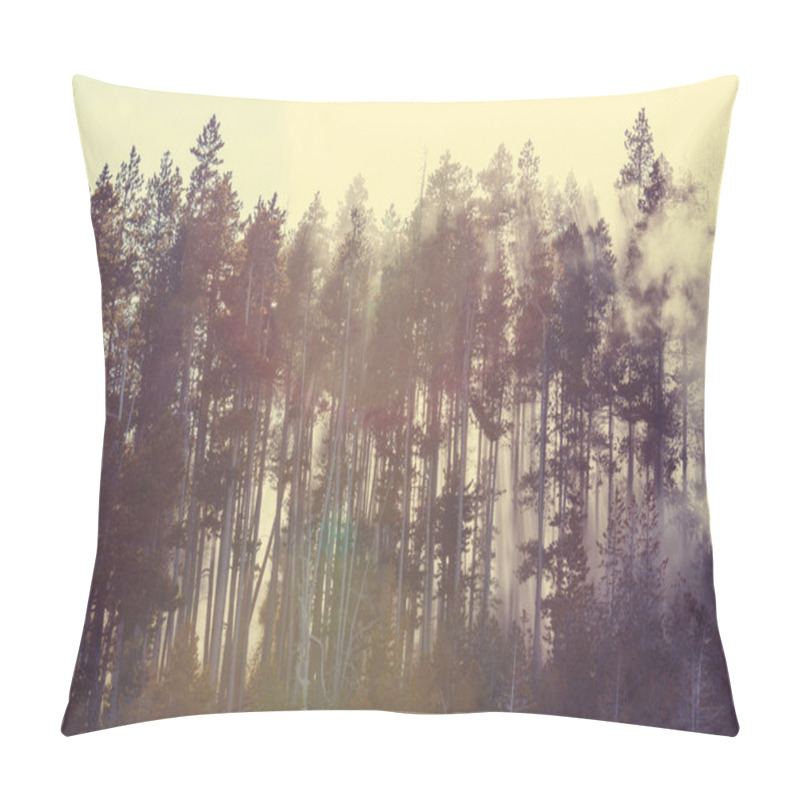 Personality  Sunny Beams In Forest Pillow Covers