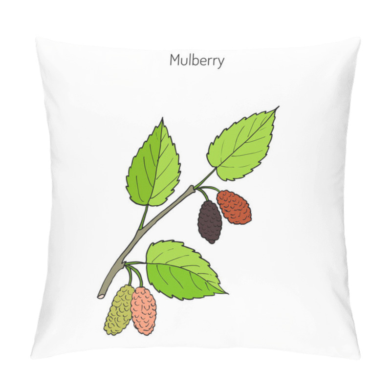 Personality  Mulberry Morus Nigra , Or Black Mulberry Pillow Covers