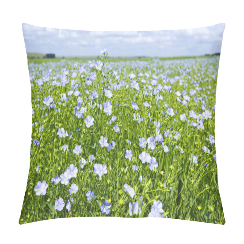 Personality  Blooming Flax Field Pillow Covers