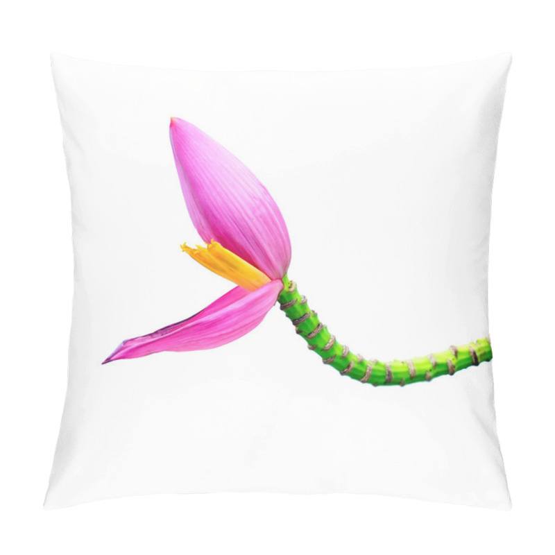 Personality  Pink Banana Flower On Banana Tree Isolated On A White Background Pillow Covers