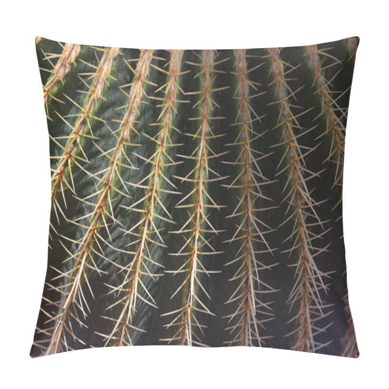 Personality  African Cactus-Jardin Majorelle, Marrakesh, Morocco Pillow Covers