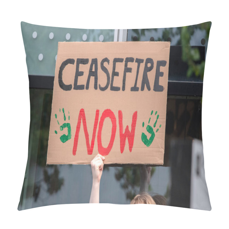 Personality  Billboard Cease Fire Now At The Student Demonstration Free Palestinian At The UVA University Amsterdam The Netherlands 7-5-2024 Pillow Covers