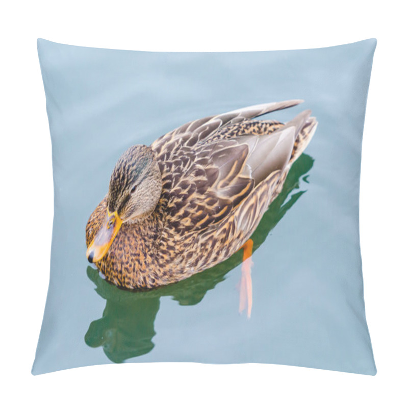 Personality  Ducks Winter In The Moscow Zoo Pillow Covers