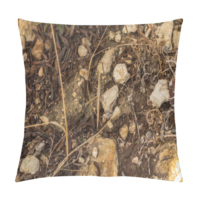 Personality  Discover The Fascinating Camouflage Of A Stick Insect Blending In With Plant Branches, Showcasing The Intricate Mimicry Of Nature's Creatures In Cyprus Pillow Covers