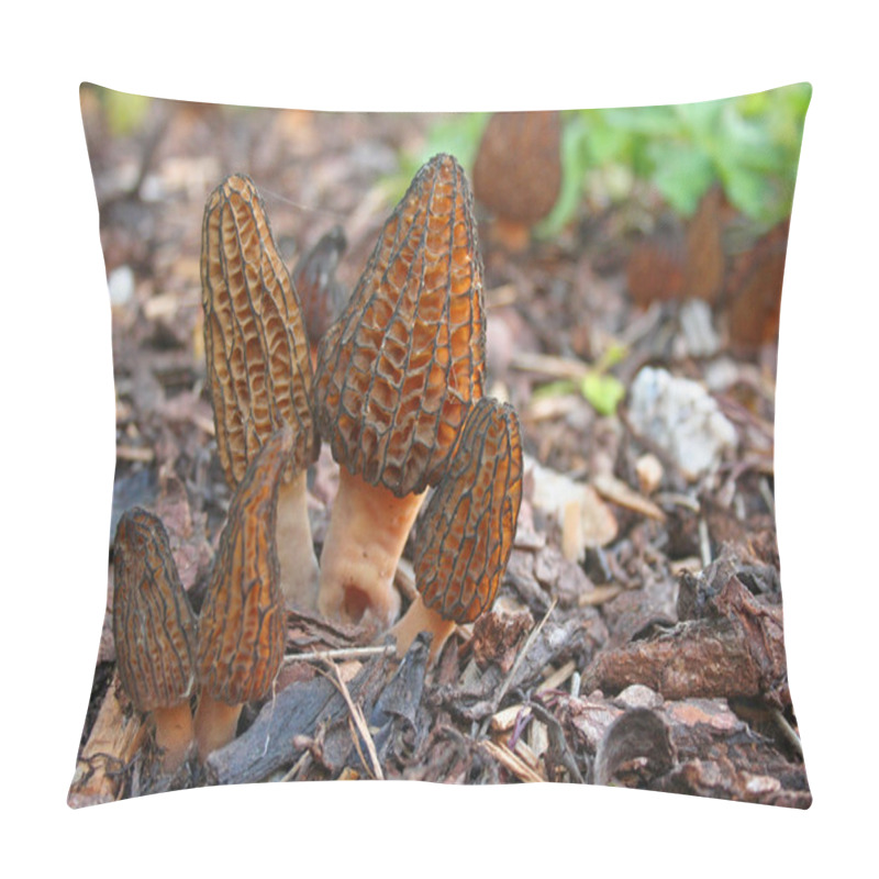 Personality  Morchella Conica Mushroom Pillow Covers