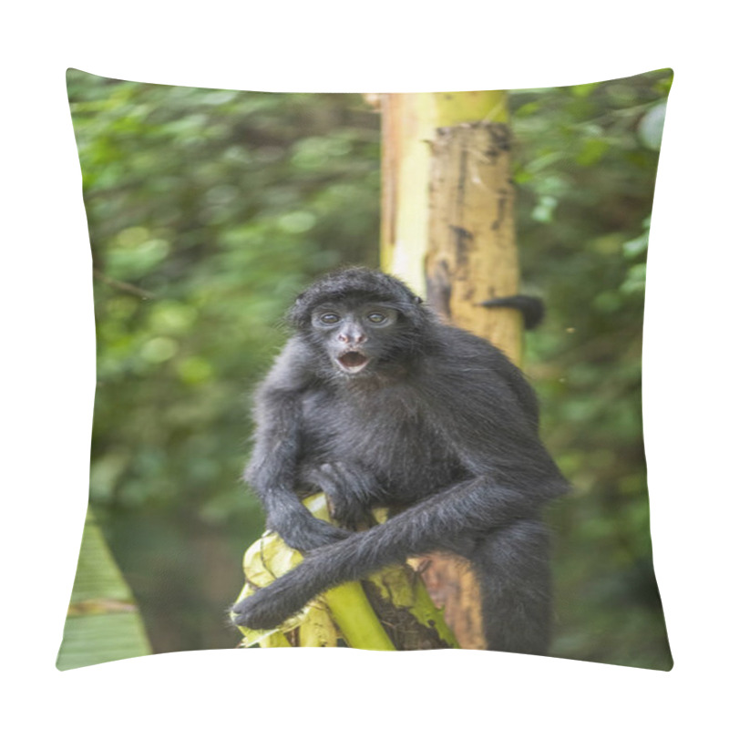 Personality  Spider Monkey In Its Natural Habitat In The Amazon Rainforest Pillow Covers