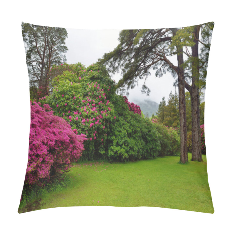 Personality  Beautiful Azalea Bushes Blossoming In The Gardens Of Ducketts Grove, County Carlow, Ireland. Pillow Covers