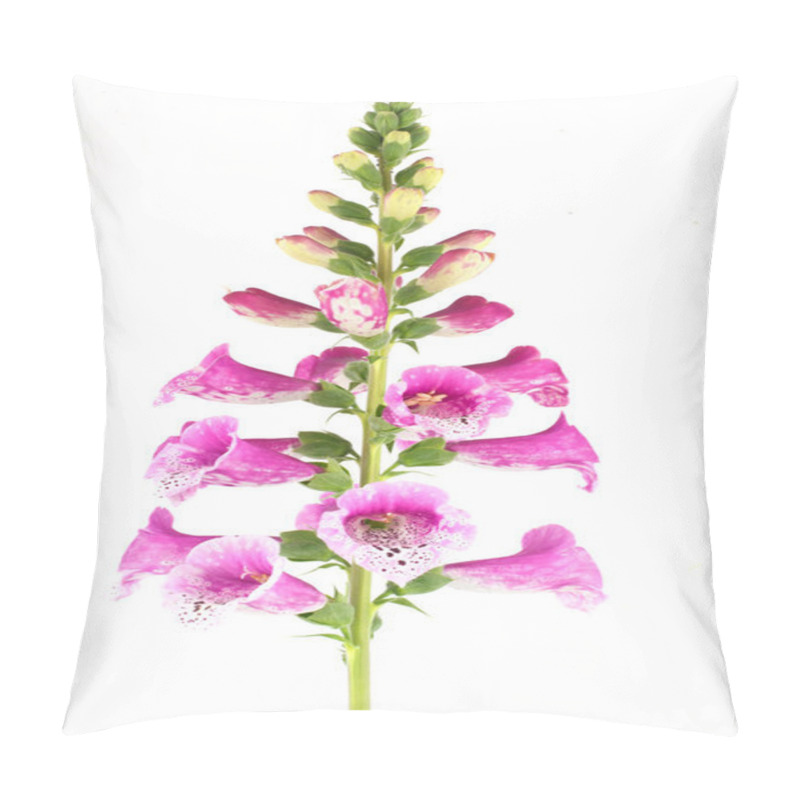 Personality  Purple Foxglove. pillow covers