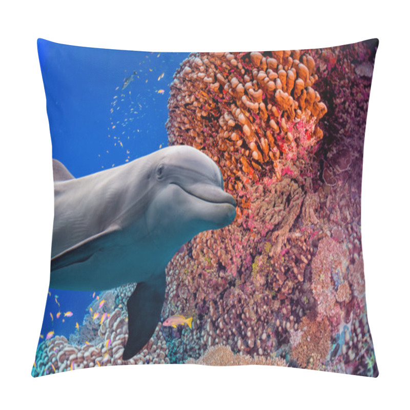 Personality  Dolphin Underwater On Reef Background Pillow Covers