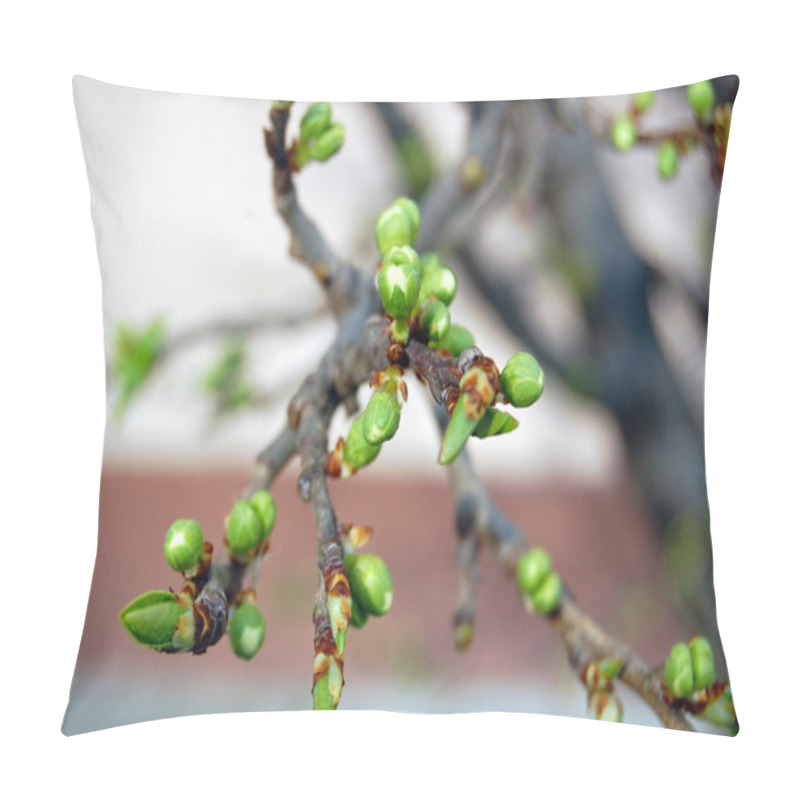 Personality  Tree Branch With Buds Background, Spring Pillow Covers