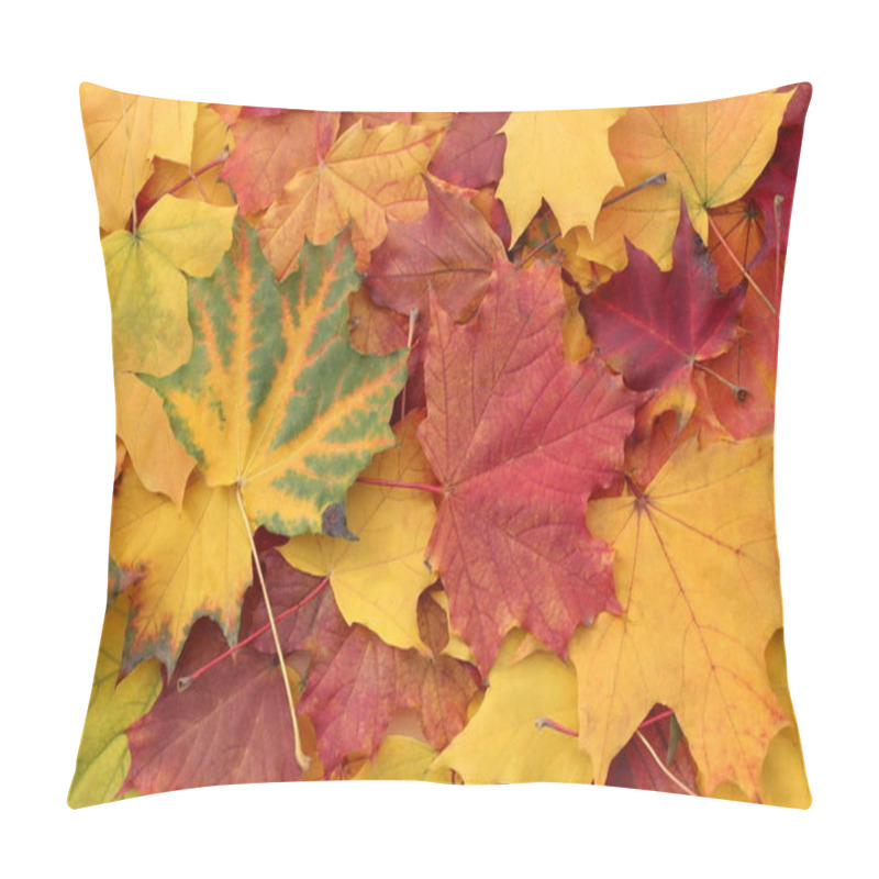 Personality  Bright Texture From Autumn Beautiful Maple Leaves. Pillow Covers