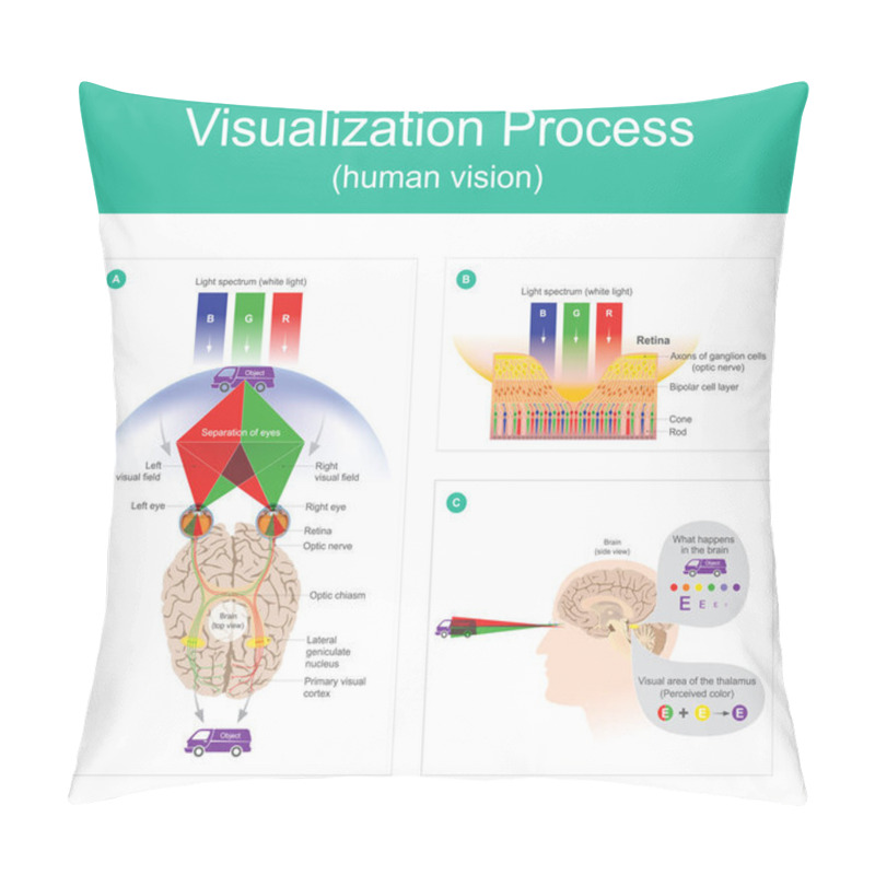 Personality  Visualization Process Human Vision. Pillow Covers