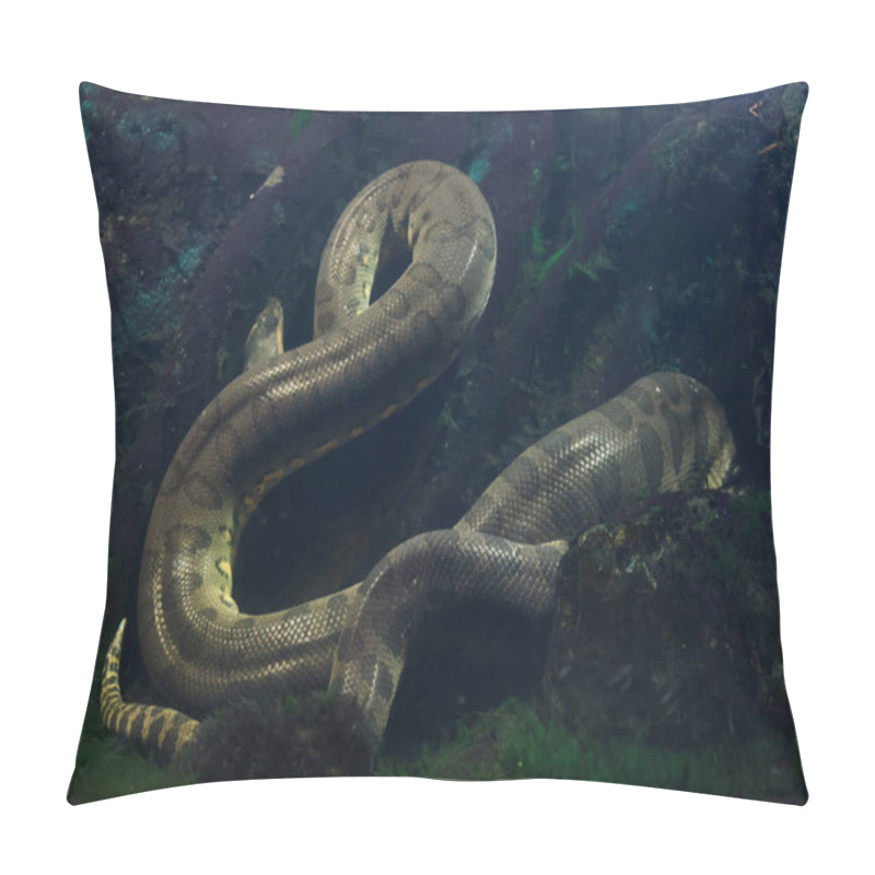 Personality  Green Anaconda (Eunectes Murinus). Wild Life Animal. Pillow Covers