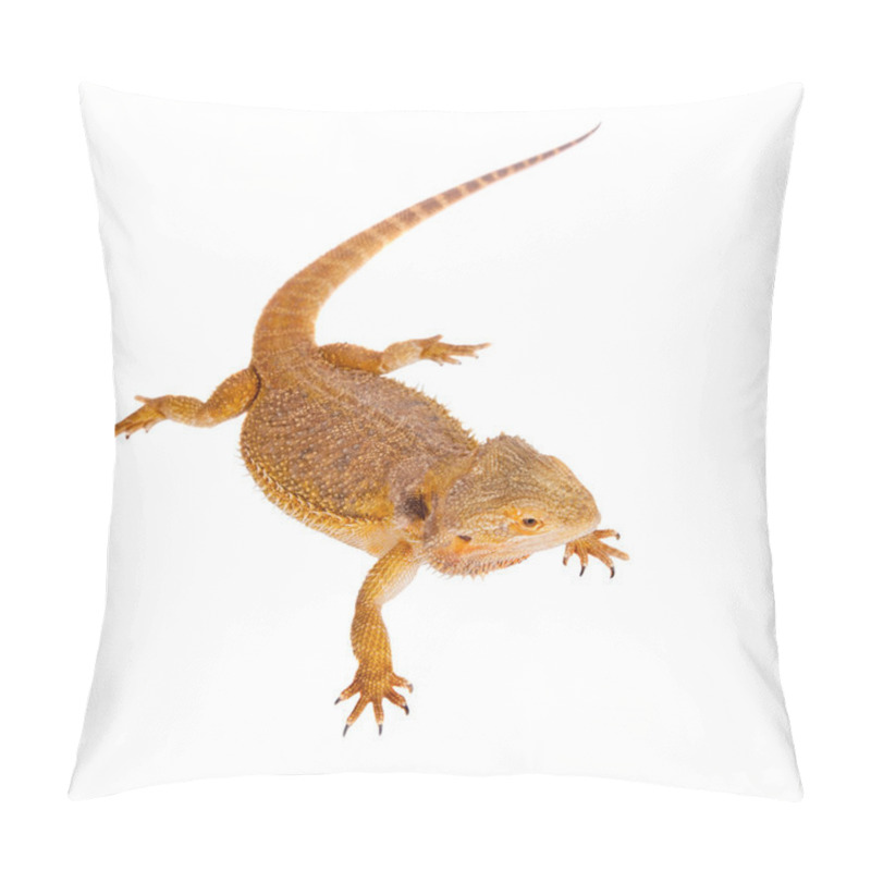 Personality  Red Bearded Dragon, Pogona Vitticeps, On White Pillow Covers