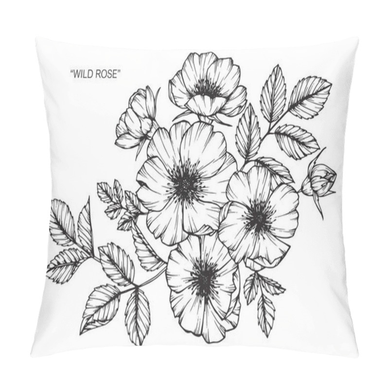 Personality  Wild Rose Flower. Drawing And Sketch With Black And White Line-art. Pillow Covers