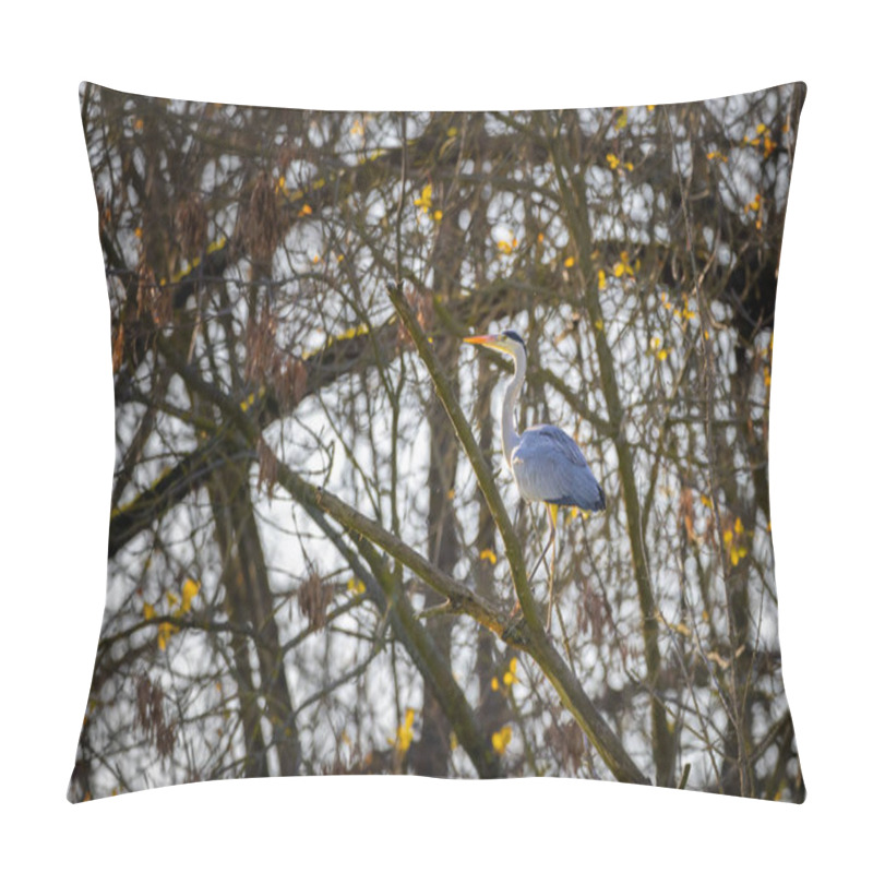 Personality  Gray Heron (Ardea Cinerea), Gemenc, Unique Forest Between Szekszard And Baja, Dunaj-Drava National Park, Hungary Pillow Covers