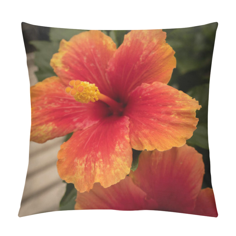 Personality  Image Of Bright Spring Flowers On The Streets Of Italy Pillow Covers