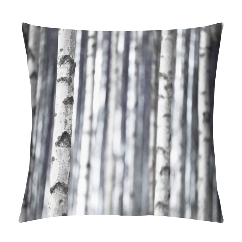 Personality  Birch Trees In Blue Pillow Covers