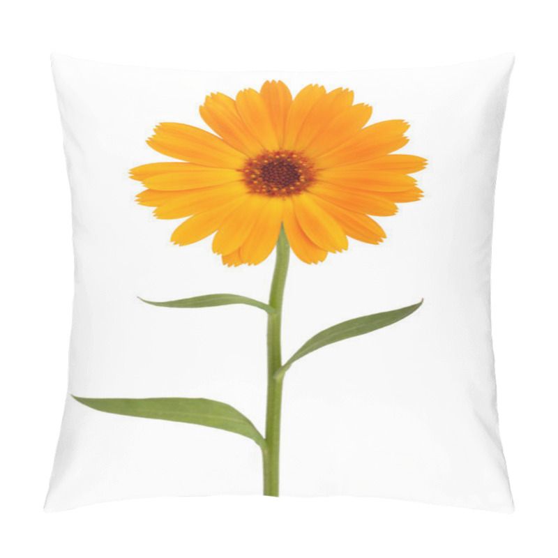 Personality  Orange Daisy With Long Stem Pillow Covers