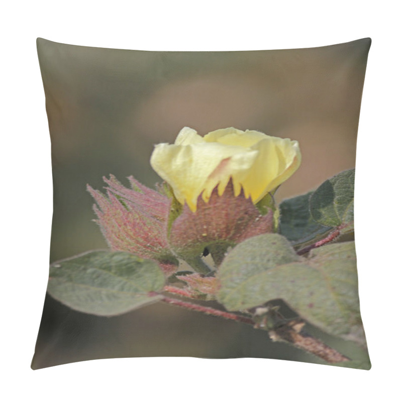 Personality  Cotton Field, Cotton Flower Pillow Covers