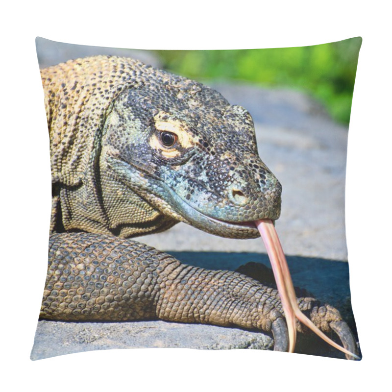 Personality  Komodo Dragon Pillow Covers