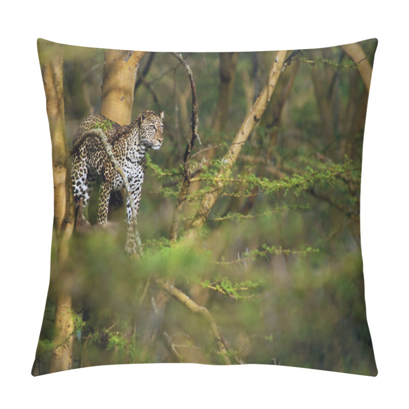 Personality  Wild African Leopard In Tree Pillow Covers