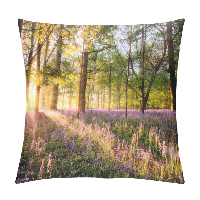 Personality  Amazing Sunrise Through Bluebell Woodland. Wild Spring Flowers Hidden In A Forest Landscape With Early Dawn Sunlight Pillow Covers