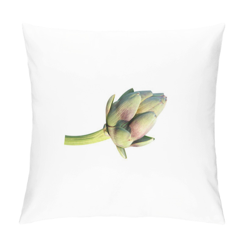 Personality  Globe Artichoke Or Cynara Cardunculus Fruits On Isolated White Background Pillow Covers