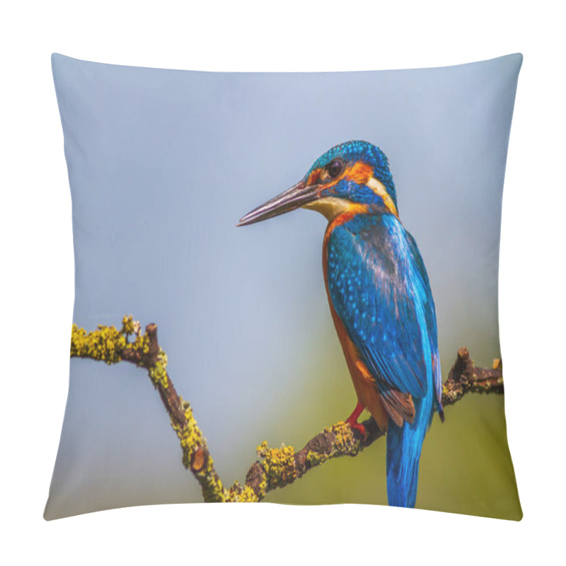 Personality  Kingfisher (Alcedo Atthis) Perched On A Branch Pillow Covers