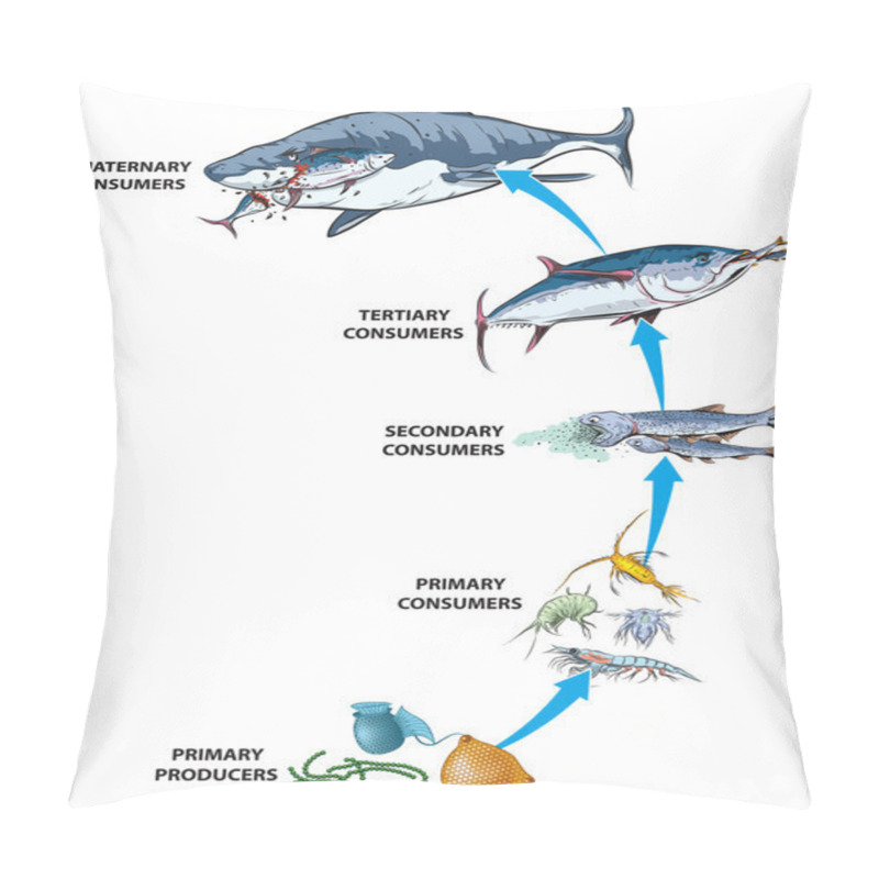 Personality  Marine Food Chain Pillow Covers