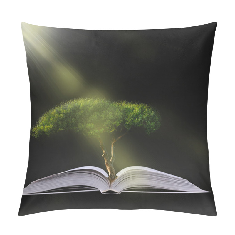 Personality  Magic Book Pillow Covers