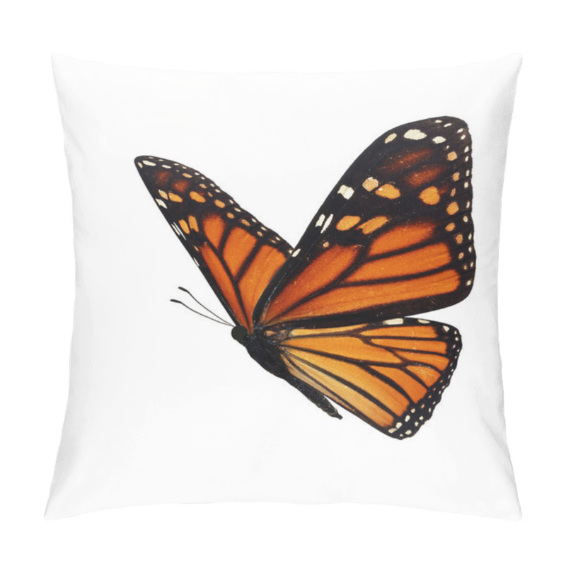 Personality  Beautiful Monarch Butterfly Pillow Covers