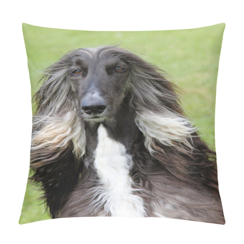 Personality  Afghan Hound Pillow Covers