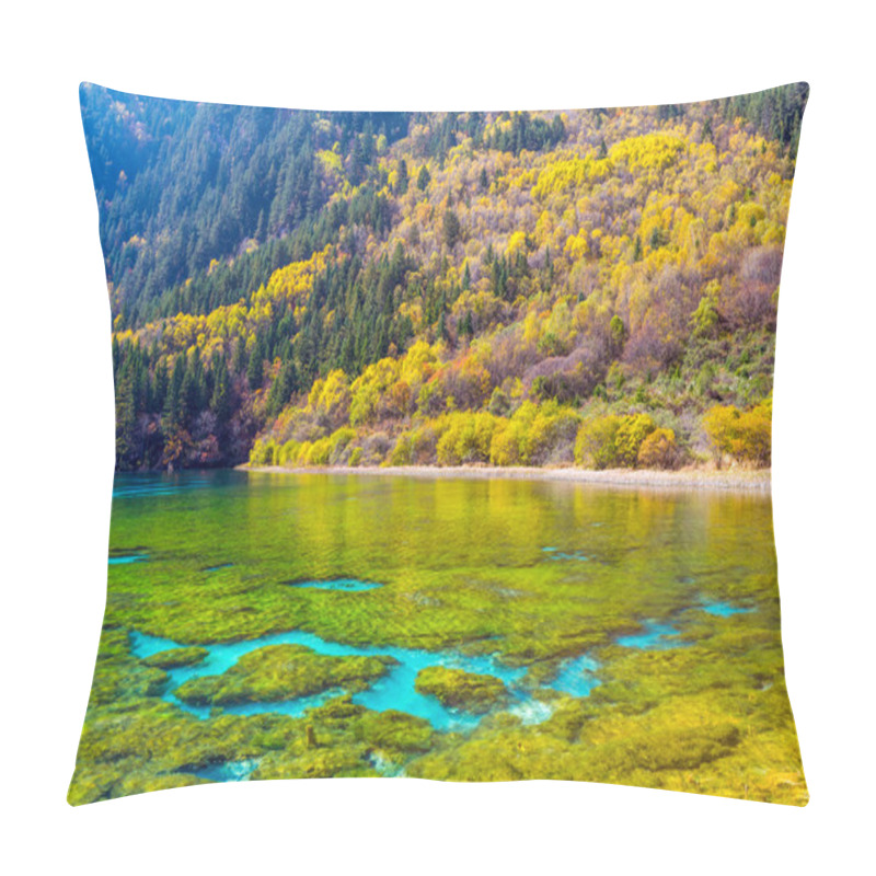 Personality  Jiuzhaigou Valley Scenic And Historic Interest Area Pillow Covers