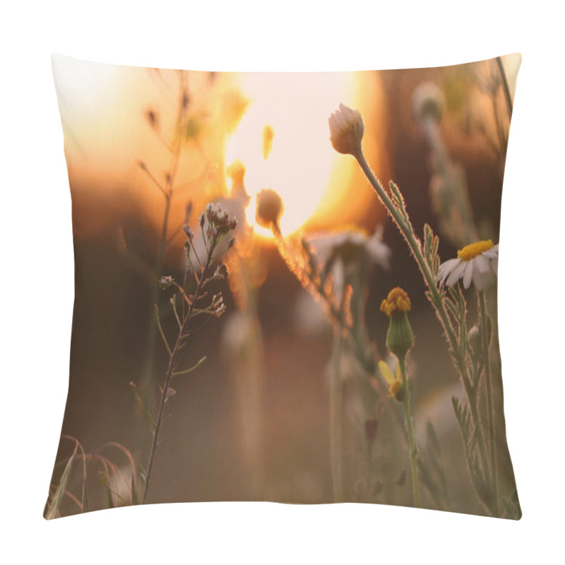 Personality  Beautiful Wild Flowers Growing In Spring Meadow, Closeup Pillow Covers