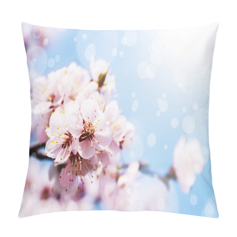 Personality  Spring White Blossom Against Blue Sky Pillow Covers