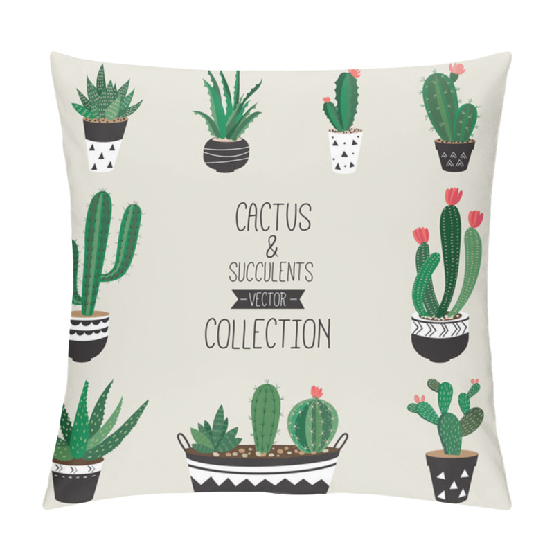 Personality  Cacti And Succulents Vector Collection  Pillow Covers