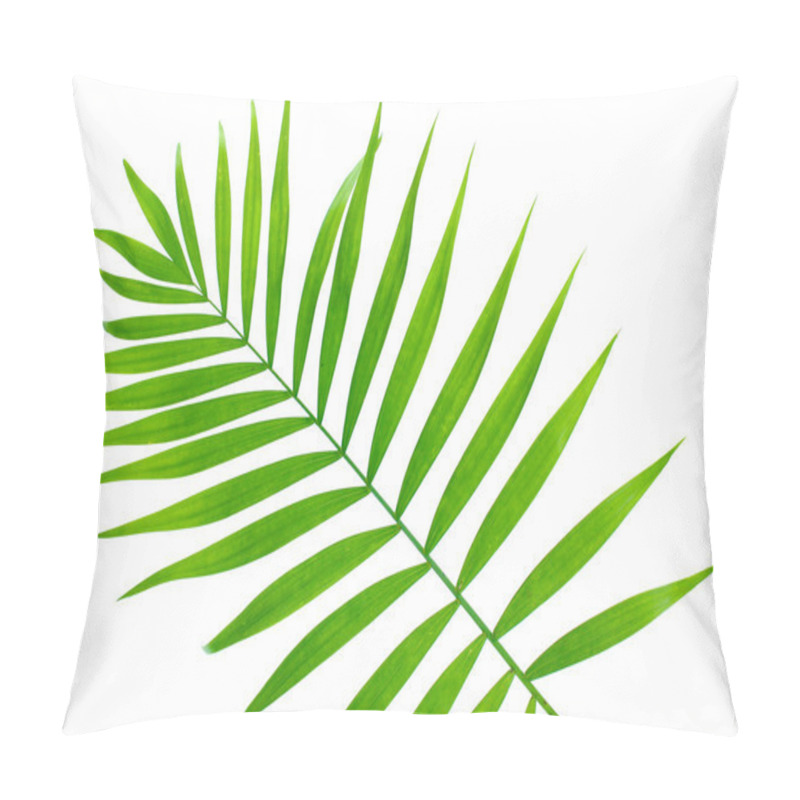 Personality  Beautiful Green Palm Leaf Isolated On White Pillow Covers