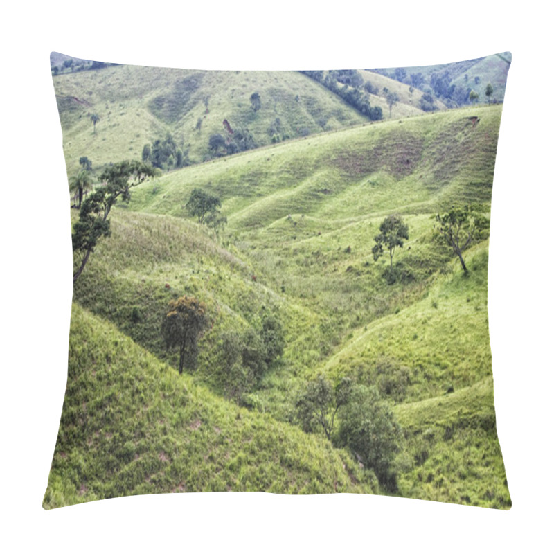 Personality  Brazil Pillow Covers