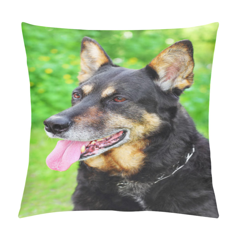 Personality  Two Shepherd Dogs Pillow Covers