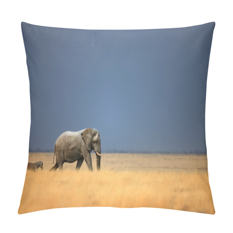 Personality  Elephant And Zebra Pillow Covers