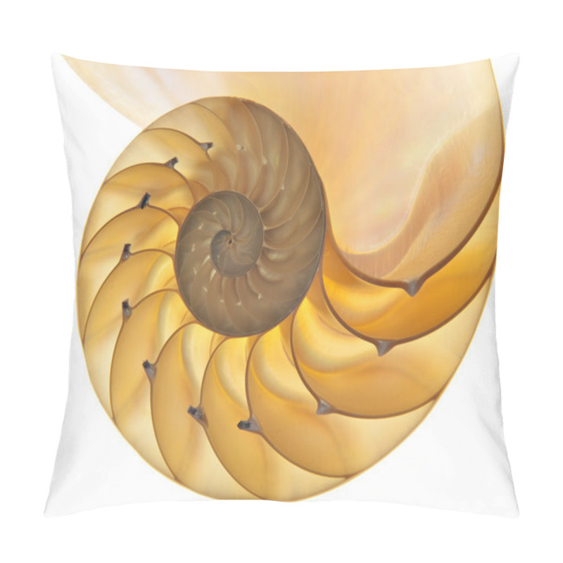 Personality  Nautilus Shell Pillow Covers