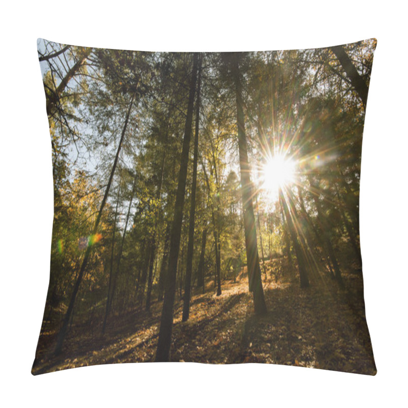 Personality  Sunbeams Through  Forest Trees Pillow Covers