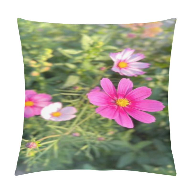 Personality  Flowers Cultivated In BioFarms Support Pollinators While Offering Edible And Aesthetic Uses. BioFarms Focus On Eco-friendly Flower Farming And Pollinators. Harmony Concept. Pillow Covers