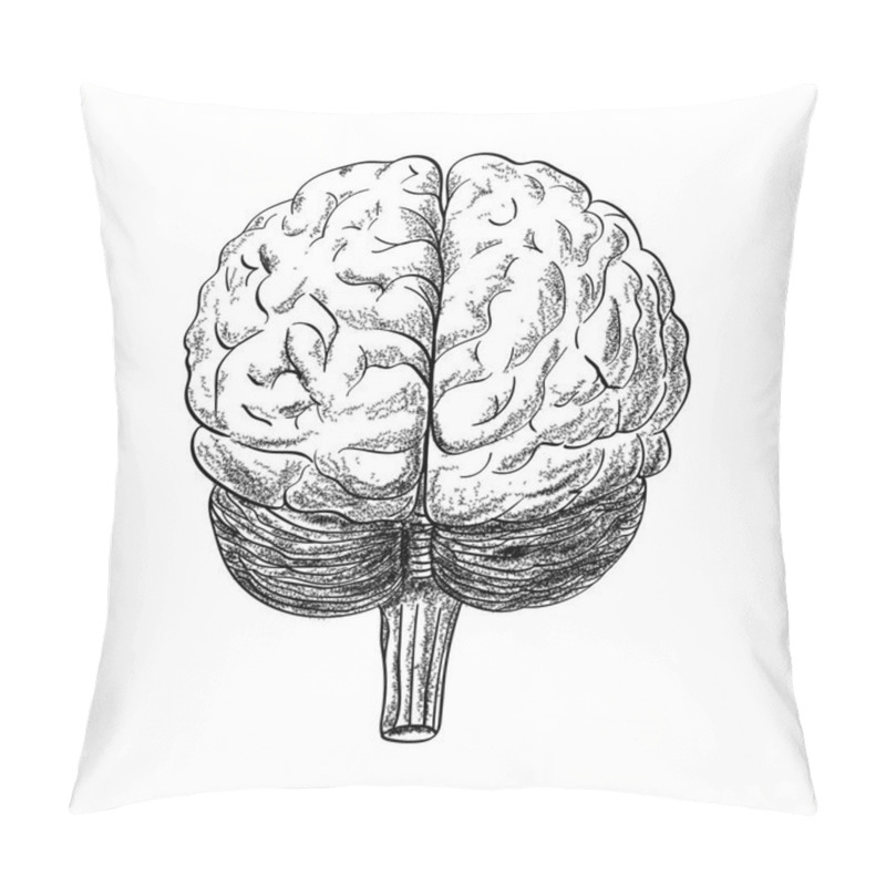 Personality  Human Brain Drawing In The White Background, Vector Illustration Pillow Covers