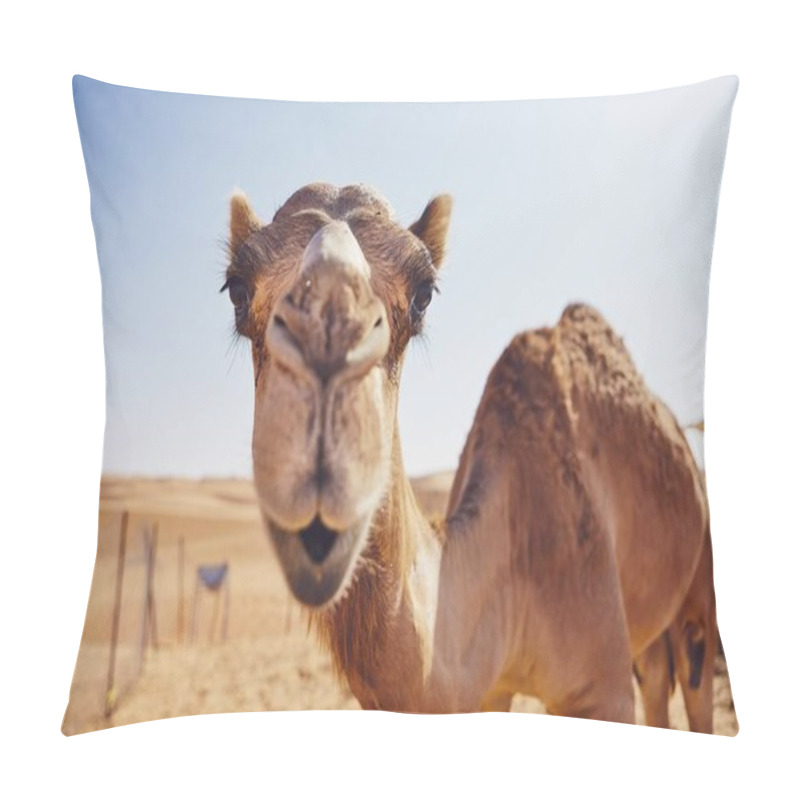 Personality  Close-up View Of Curious Camel Against Sand Dunes Of Desert, Sultanate Of Oman.   Pillow Covers