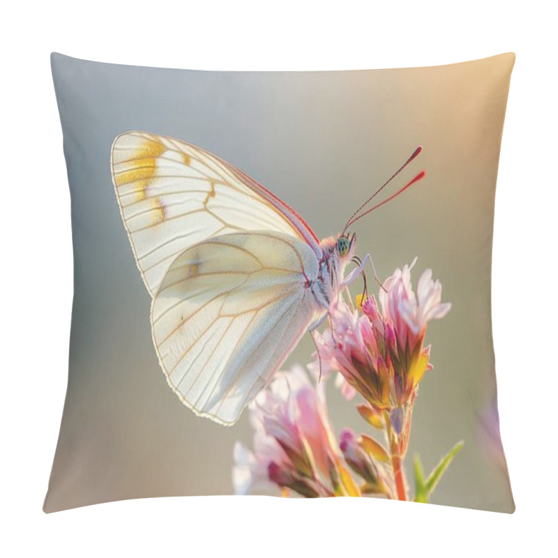 Personality  Butterfly Sitting On A Flower In The Garden Pillow Covers